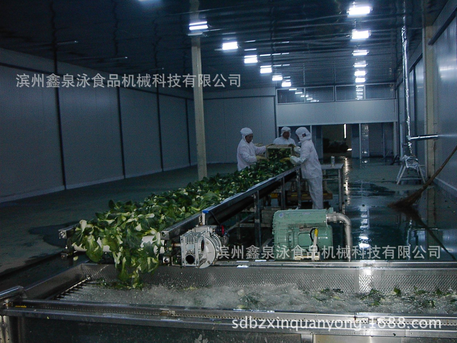 凈菜清洗線
