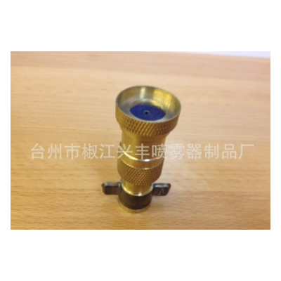 ptt-20噴霧器配件 電動(dòng)噴霧器噴頭 銅單噴頭（?。? onerror=