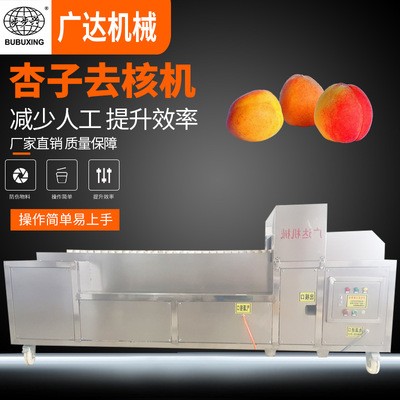 廠家直銷 不銹鋼杏子去核機(jī) 黃杏去核分瓣機(jī) 水果去核機(jī)械設(shè)備
