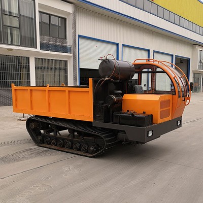 瑞通6噸運(yùn)輸車 8噸履帶運(yùn)輸車 廠家做運(yùn)輸車