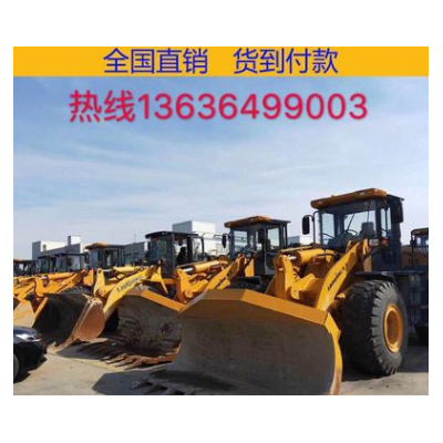 上?，F(xiàn)場真品鏟車裝載機(jī)30/50裝載機(jī)，供應(yīng)龍工臨工柳工