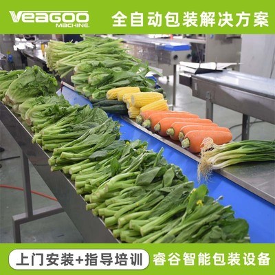 源頭廠家 自動(dòng)打透氣孔蔬菜包裝機(jī) 自動(dòng)識(shí)別物料長短蔬菜包裝機(jī)械