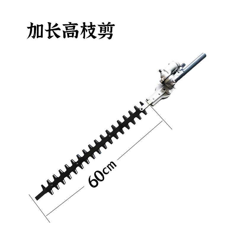 加長高枝剪.jpg