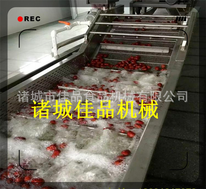 大棗清洗線(xiàn)