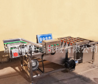 中藥材氣泡清洗機 商用全自動連續(xù)式果蔬清洗設備 大型氣泡清洗機