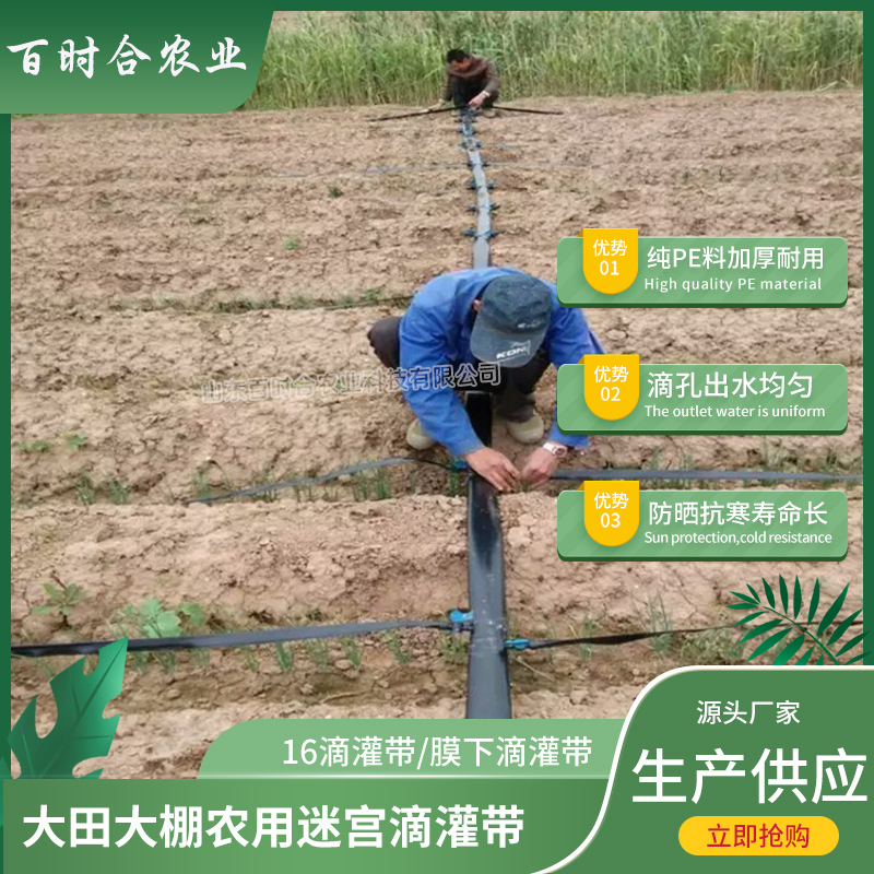 迷宮滴灌帶價格廠家山東百時合農(nóng)業(yè)科技有限公司