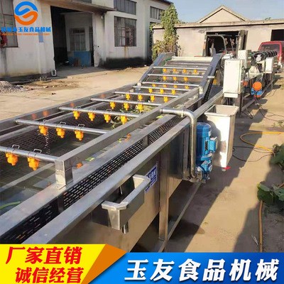果蔬清洗機(jī) 淋噴式辣椒氣泡清洗機(jī)設(shè)備 全自動(dòng)果蔬清洗機(jī)