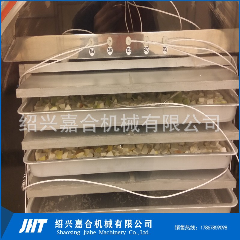 全自動(dòng)真空凍干機(jī)器 方便面蔬菜包冷凍干燥設(shè)備 蟲(chóng)草參片凍干機(jī)