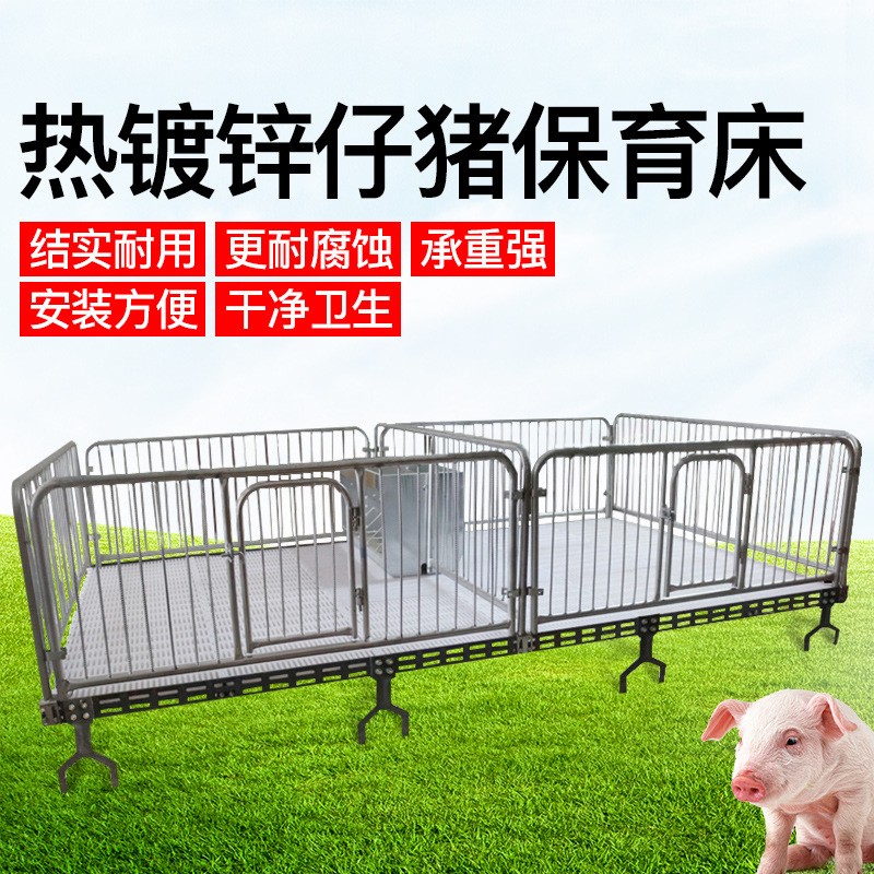廠家批量生產(chǎn)小豬用鑄鐵保育床塑料漏糞板雙面食槽國(guó)標(biāo)鍍鋅管促銷