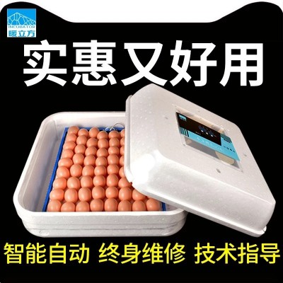 暖立方廠家長(zhǎng)期供應(yīng)批發(fā)小型全自動(dòng)孵化機(jī)家用型孵化器小雞孵化器