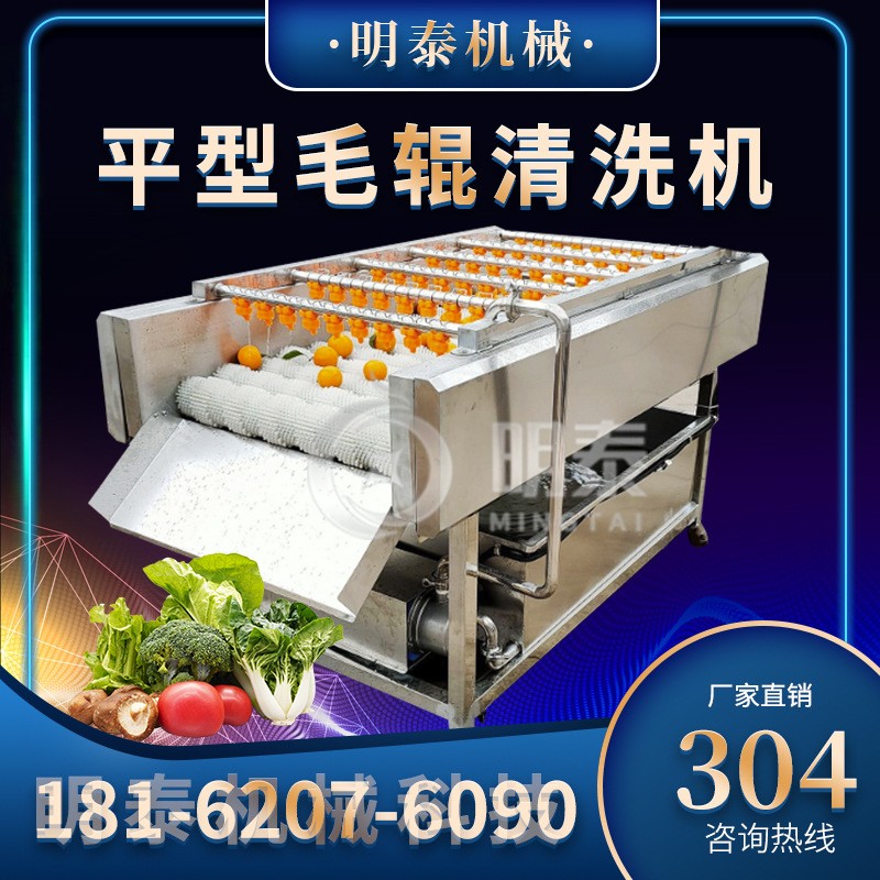 多功能毛輥清洗機(jī)小型土豆生蠔蓮藕去泥土清洗設(shè)備商用生姜去皮機(jī)