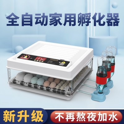 威亞孵化機(jī)小型家用全自動(dòng)智能雞鴨鵝鴿子孔雀孵化器鸚鵡 孵蛋器