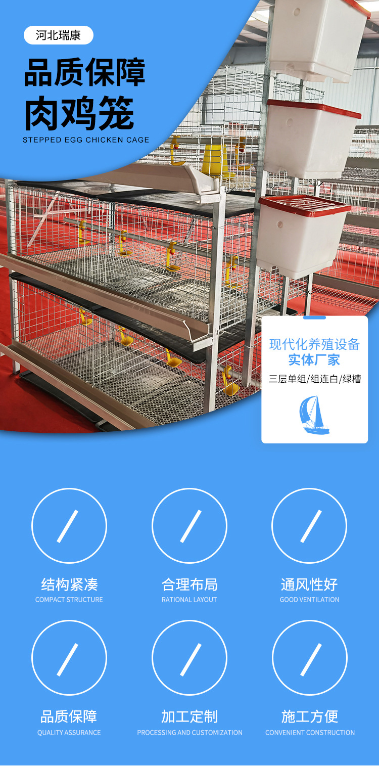 肉雞籠詳情_01.jpg