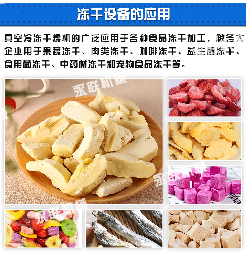 永聯(lián)凍干機(jī)_04.jpg