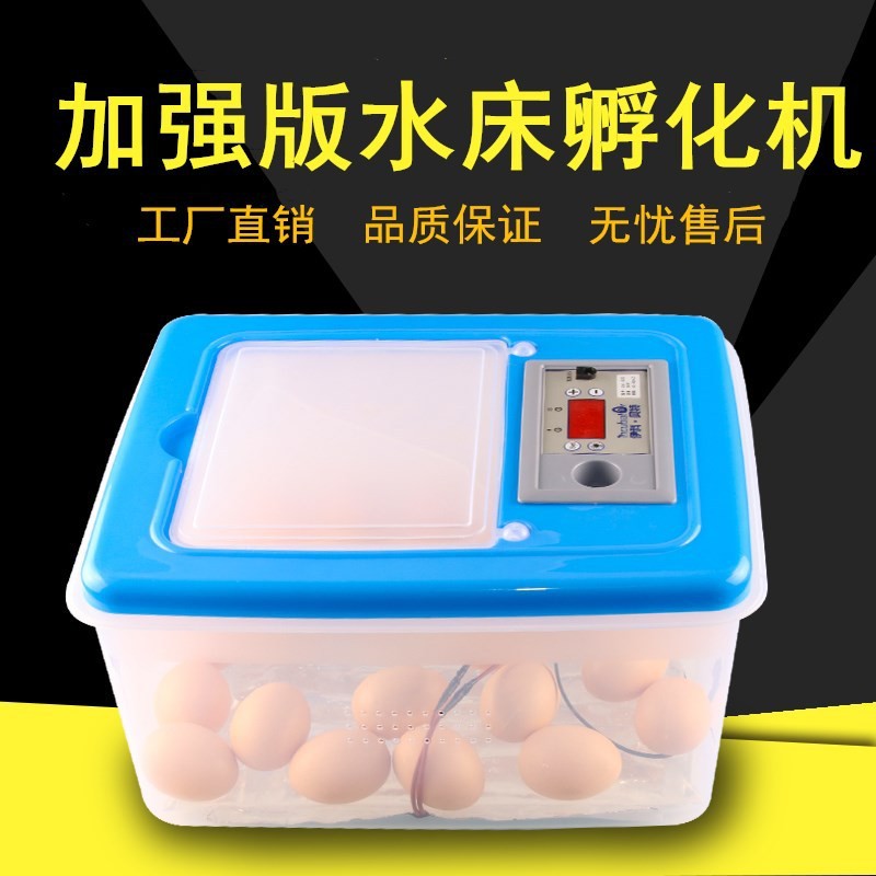 伊科貝特水床孵化機(jī)升級(jí)版 32枚PP料家用小型孵化器雞鴨鵝孵化箱