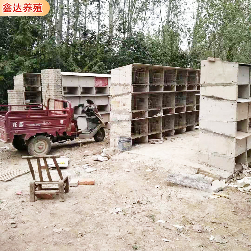 微信圖片_202104271830041.jpg