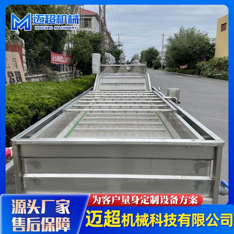 全自動(dòng)噴淋式果蔬清洗機(jī) 葉類蔬菜高壓氣泡清洗機(jī) 清洗流水設(shè)備