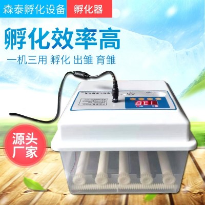 批發(fā)孵化機 小型全自動智能家用迷你孵蛋器雞鴨鵝鴿子incubator