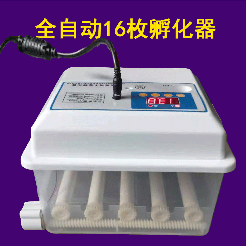 批發(fā)雙電源小雞孵化器全自動雞蛋孵化機(jī)家用多模式智能孵蛋器