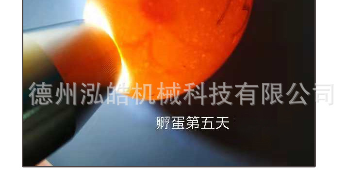 孵多多照蛋器詳情_02.jpg