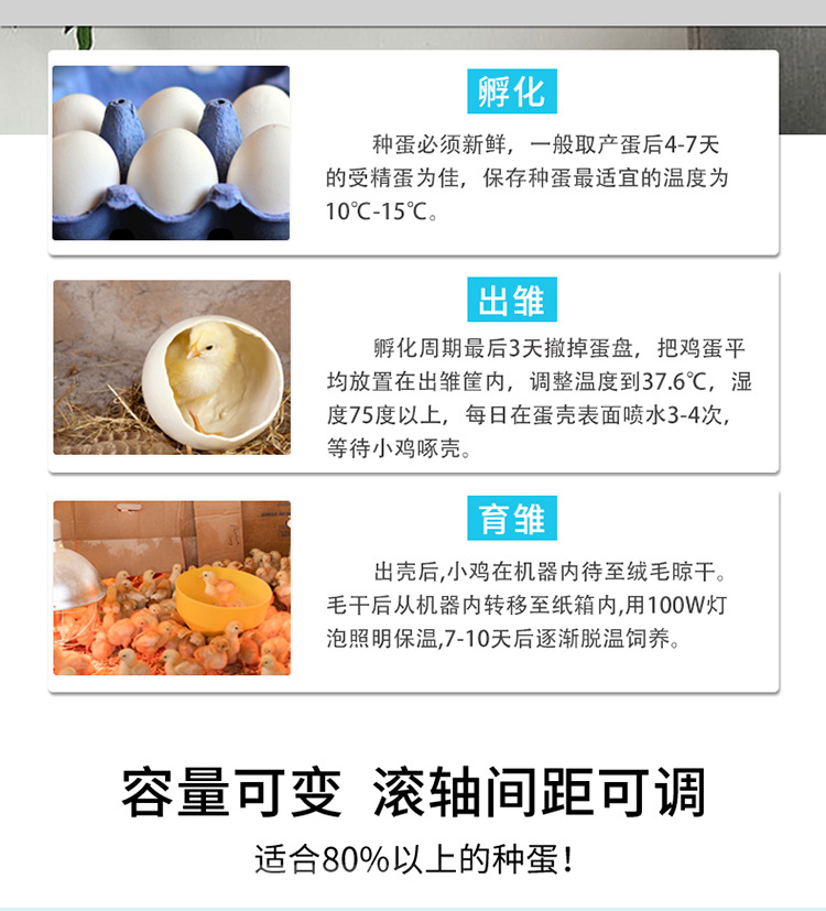 白殼詳情1_06