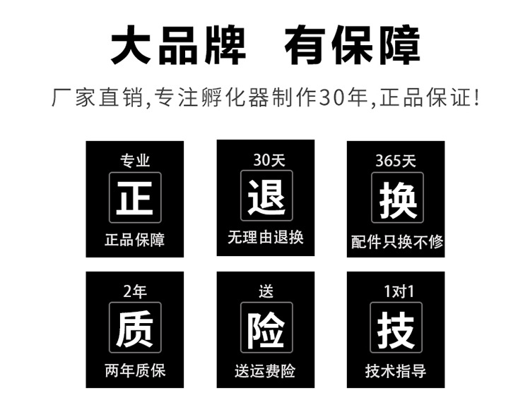 白殼詳情1_02