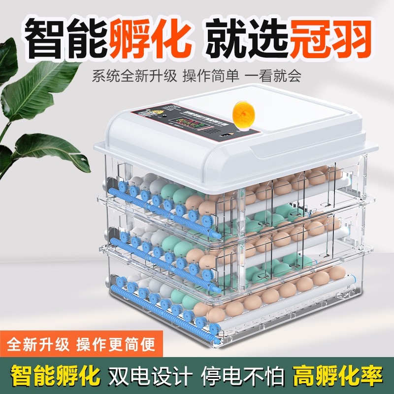 定制家用孵化器小型孵化箱智能全自動孵化機(jī)跨境迷你雞蛋孵蛋器