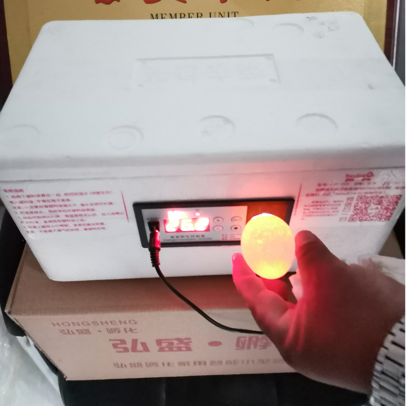 水床孵化機(jī)2.jpg