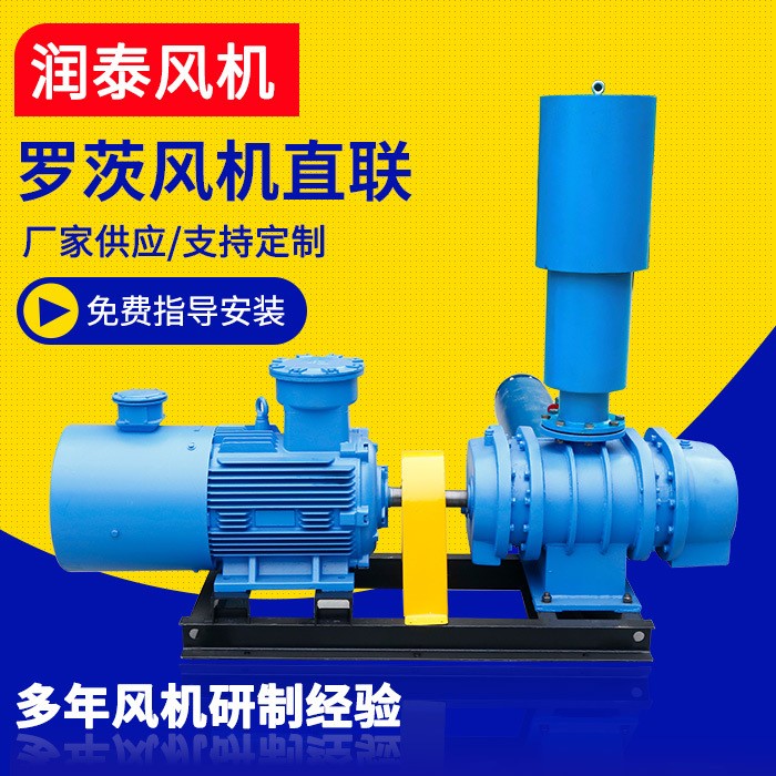 廠家供應(yīng) 羅茨鼓風(fēng)機 直聯(lián)三葉羅茨鼓風(fēng)機三葉羅茨風(fēng)機 支持定制