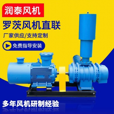 廠家供應(yīng) 羅茨鼓風(fēng)機(jī) 直聯(lián)三葉羅茨鼓風(fēng)機(jī)三葉羅茨風(fēng)機(jī) 支持定制