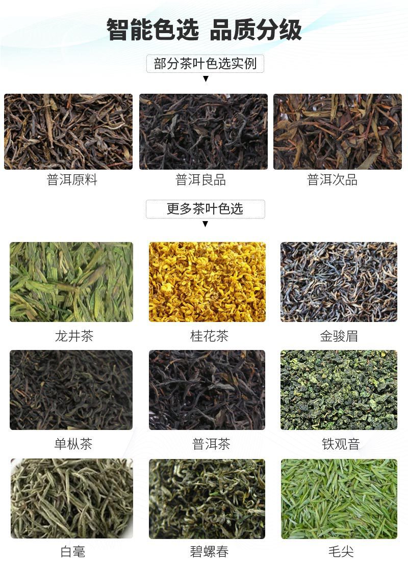 茶葉普洱