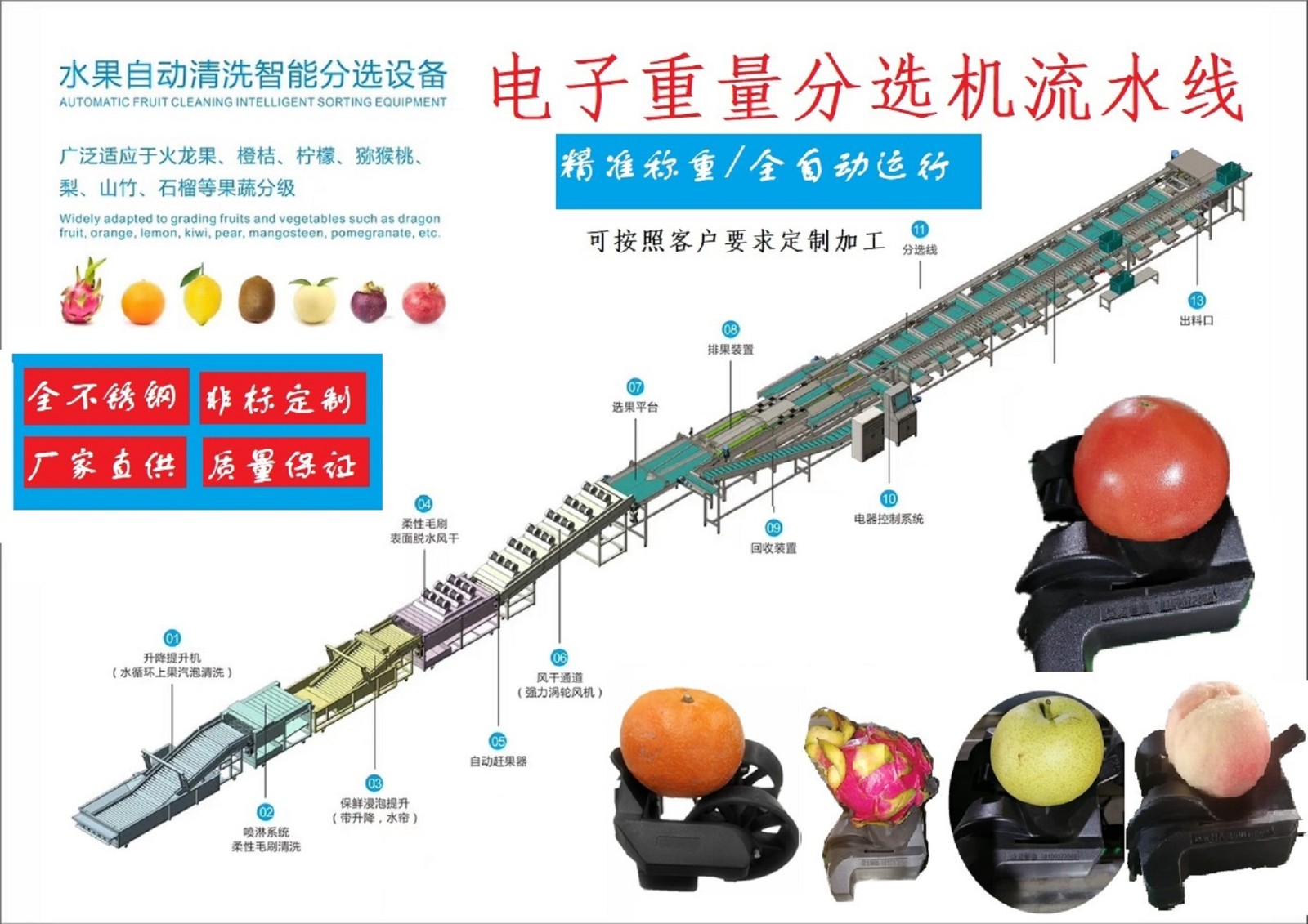 電子智能稱重芒果分選機(jī)芒果分級機(jī)分揀機(jī)克重分選機(jī)