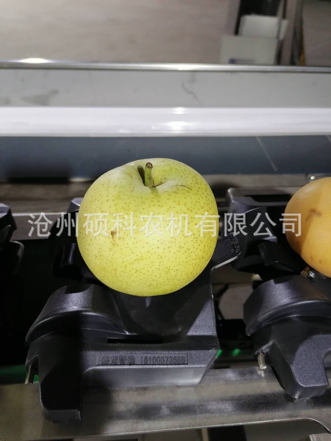 電子稱重克重檸檬分級機(jī) 分選機(jī)小型篩選機(jī)水果分選機(jī)