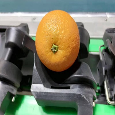 檸檬分級機 分選機 小型篩選機 水果分選重量蘋果 梨獼猴桃大青棗