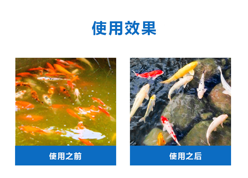 不銹鋼錦鯉一體機_02.png