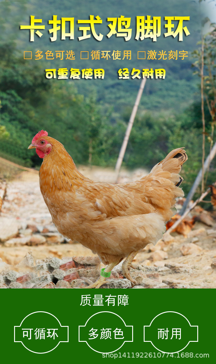環(huán)1.png