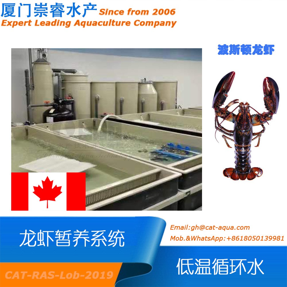 加拿大工廠化室內(nèi)循環(huán)水龍蝦低溫暫養(yǎng)項(xiàng)目循環(huán)水產(chǎn)養(yǎng)殖水處理設(shè)備