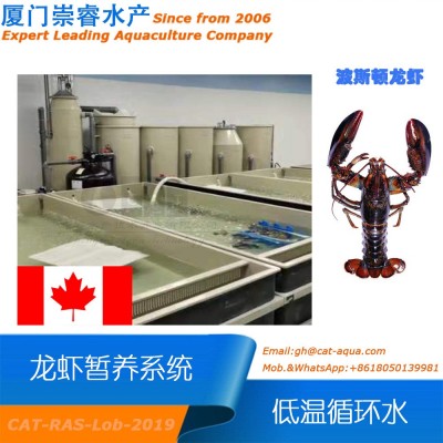 加拿大工廠化室內(nèi)循環(huán)水龍蝦低溫暫養(yǎng)項目循環(huán)水產(chǎn)養(yǎng)殖水處理設(shè)備