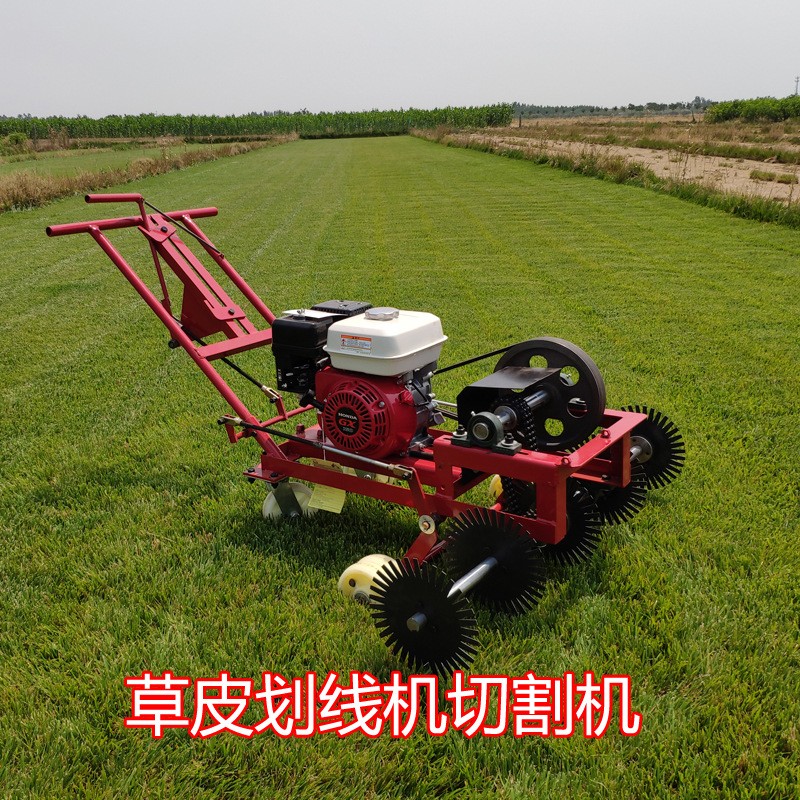 馬尼拉草坪鏟草機(jī)臺(tái)灣草劃線機(jī)草地切割機(jī)草皮切塊大型草場(chǎng)專用