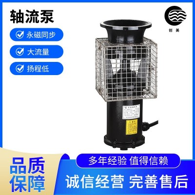 現(xiàn)貨銷售抗洪排澇軸流泵循環(huán)泵移動(dòng)抽水排污便攜式防汛泵防汛水泵