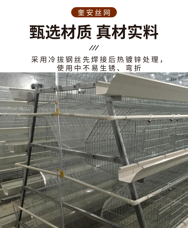 雞籠 (4).png