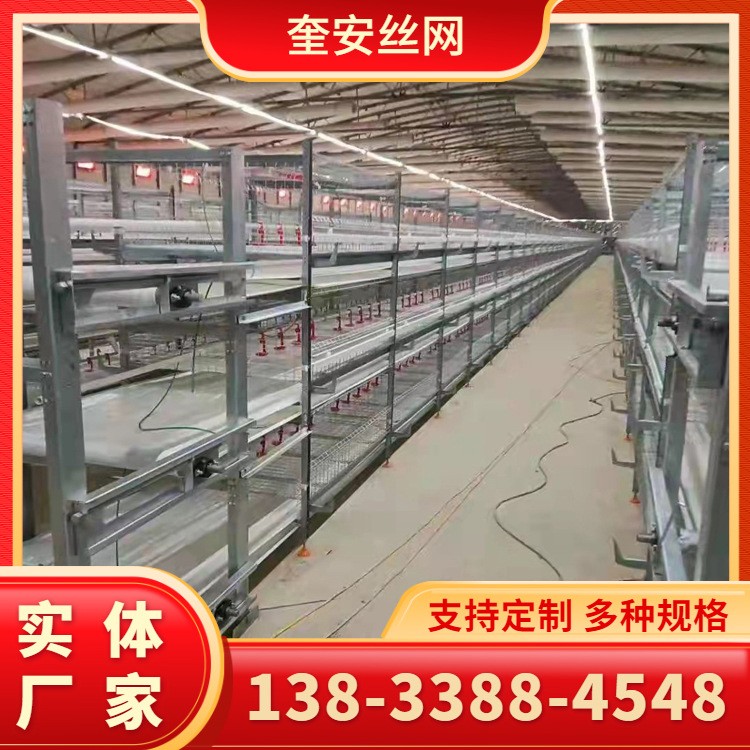 籠具 層疊式肉雞籠 雞籠全套設(shè)備 三層兩門立體式肉雞籠 廠家現(xiàn)貨