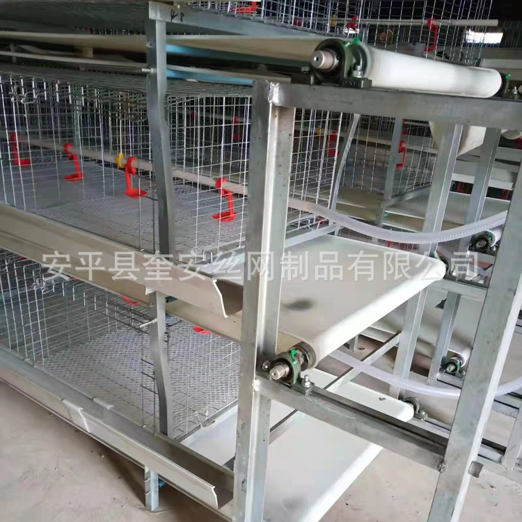 肉雞籠 (6).jpg