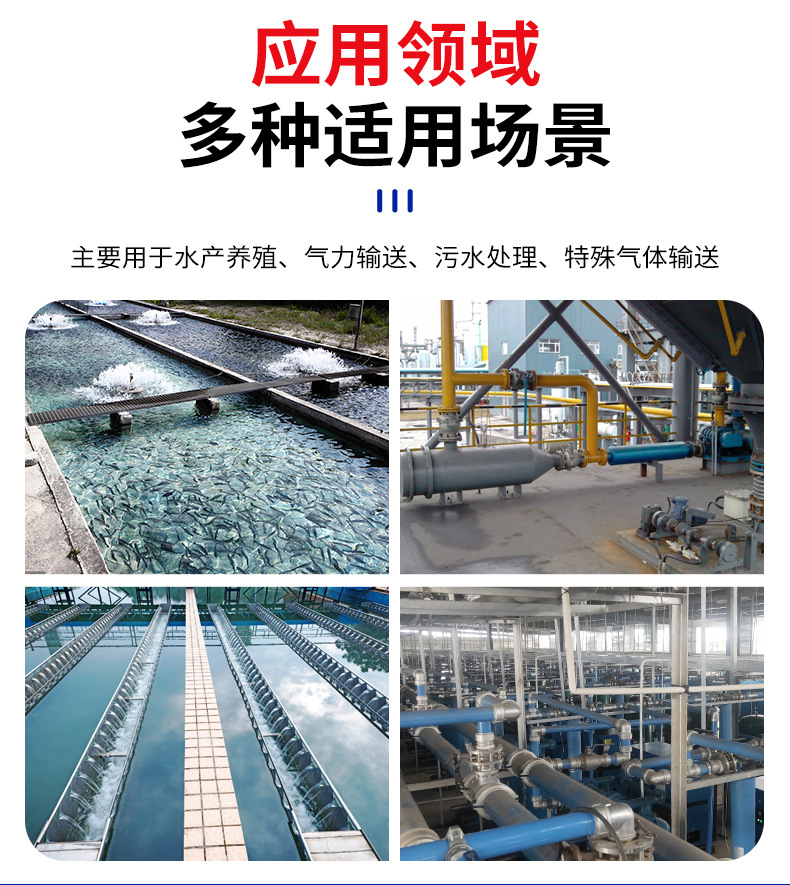 羅茨風(fēng)機_10