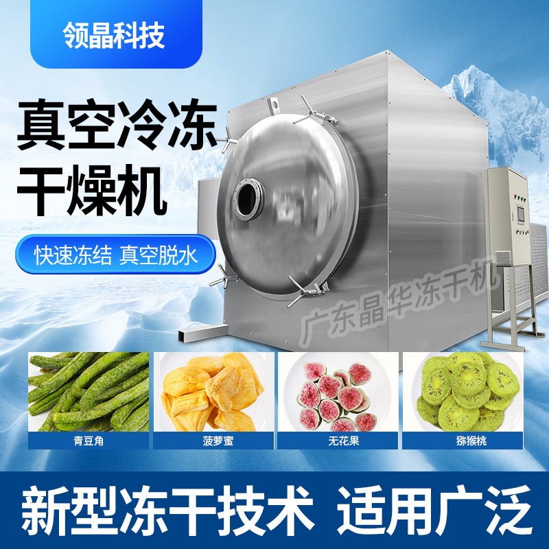 領(lǐng)創(chuàng)晶華凍干機(jī)加工大型真空冷凍干燥機(jī)設(shè)備中藥水果蔬菜寵物商用