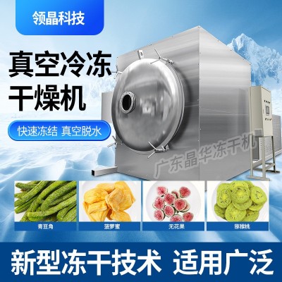 領創(chuàng)晶華凍干機加工大型真空冷凍干燥機設備中藥水果蔬菜寵物商用