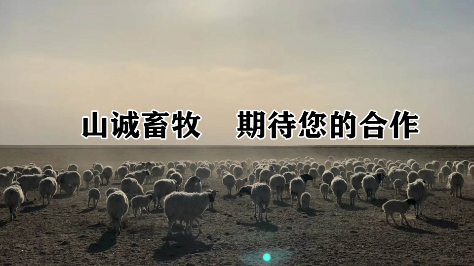 詳情尾圖