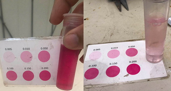 16藍靈的純氧溶氧器為何“難產”？1