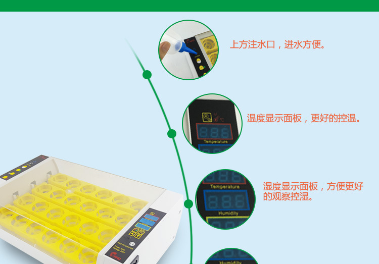 24枚詳情_04