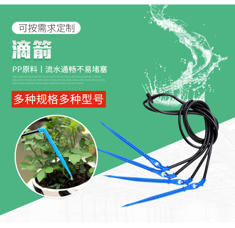 2滴箭_03.jpg